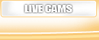 Live Cams