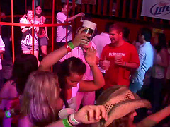 A few depraved amateur sluts flash their tits in a club