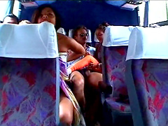 Bikini-clad Latina licking and sucking a stranger's big cock