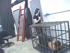 Busty brunette babe cages a horny guy and has her kiss her feet