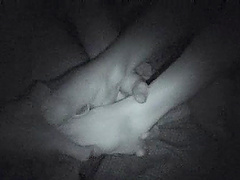 Randy slut gets pussy banged and gives footjob and blowjob