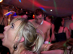 A few crazy milfs suck dicks in a club in reality clip