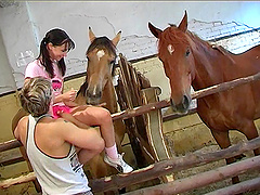 Foxy girlfriend Sandy Joy enjoys while her boyfriens licks her clit