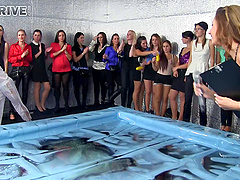 Nasty catfight in an oil pit with Tatiana Milovani and a blonde