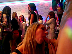 Large group sex in the club with cock hungry hotties and sluts