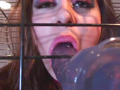 Collared slave in a cage sucks on a dildo like a good pet