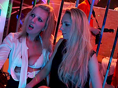 Orgy with Candy Alexa and other fabulous dick-hungry babes like her