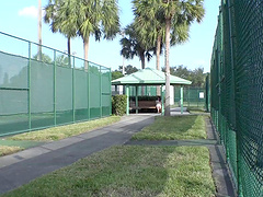 Luscious brunette playgirl enjoys pleasuring a massive rod