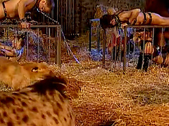 Crazy Things Go On In This DP Group Sex Orgy With Hot Babes and Big Cocks