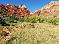 Monique wants that fat schlong deep inside her sweet depths!