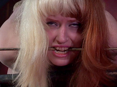 Chick with a colorful hair is punished with some hard bondage action