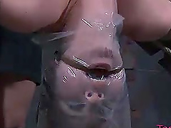 Calico moans in ecstasy while being punished by her dominatrix