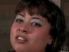 Chubby Siren Wolf getting her pussy drilled with toys in the basement