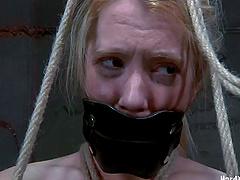 BDSM action with alluring babes Nicki Blue and Claire Adams