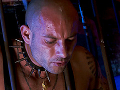 Blonde slave yelling while screwed hardcore doggystyle in BDSM porn