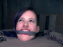 Redhead cutie Violet Monroe tied and tortured next to Freya French