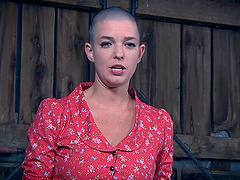 Painful torture session for shaved head Abigail Dupree. HD video