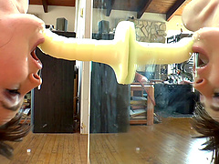 Dreamy babes sucking their sex toys like they're the real things