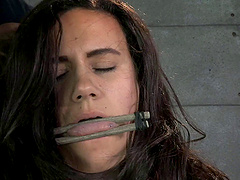 Handsome pornstar Penny Barber gets her pussy and tits tortured