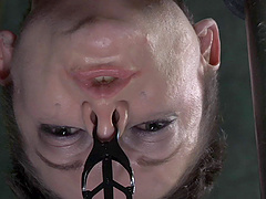 Short haired model Hazel Hypnotic cries during hardcore torture