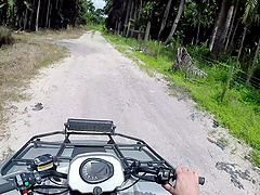 Small tits Ashlyn with nice ass throbbed hardcore outdoor