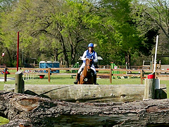 Busty pornstar Stormy Daniels rides a dick and moans with pleasure