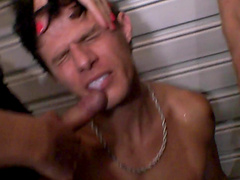 Alexia Firenze and other shemales want to feel a hunk's anus