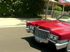 Melissa Moore knows how to suck a big black cock properly