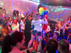 Large fuck fest with lot of cock hungry stars and male strippers