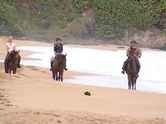 Brunette mature wife Lucky gets cum on her pretty face