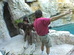 Black babes Mocha and Chocolate share a big black dick