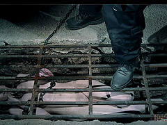 Nasty torture video with small tits amateur babe Sierra Cirque