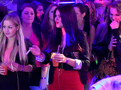 Couple of lucky guys get their dicks pleasured by a lot of ladies