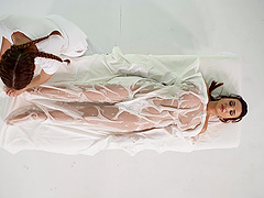 Oiled massage turns into passionate love-making with Alyssia Kent