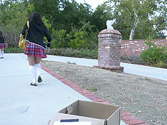 After lesbian sex Casey Calvert wants to feel hard friend's penis