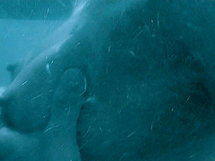 Cindy Crawford spreads her legs for a strong friend's dick in the bathroom