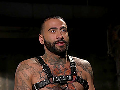 Handsome gay dude gets tied up and ass fucked by two studs