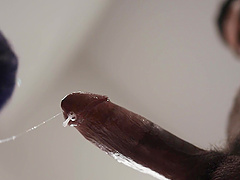 Naughty guy drops on his knees to suck a large dick of shemale TS Foxxxy