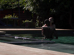 Erotic interracial sex in the pool and shower with Haley Reed