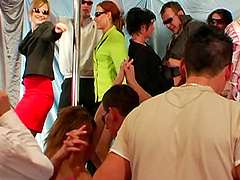 Lucky dudes fuck lot of wet pussies during a wild group sex party