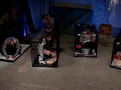 Asami Ogawa gets her pussy licked in a kinky Japanese action