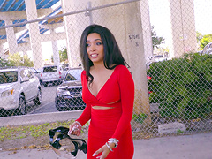 Hardcore fucking in the van with ravishing stranger Aaliyah Hadid