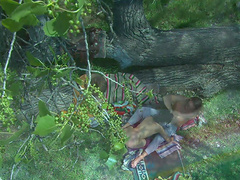 Taylor Rain sucking her good looking lover's cock in the forest