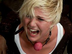 Wild Device Bondage Action with Babes Chloe Camilla and Payton Bell