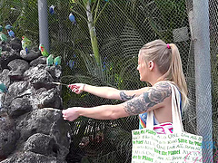 Tattooed Paris White moans while getting pleasured in POV