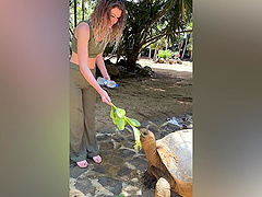 Beautiful women in hot scenes in the great outdoors.