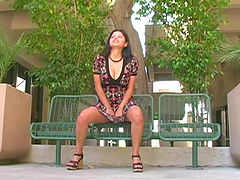 Public flasher gets caught in the act and gets punished.