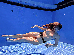 Beautiful brunette milf Cory Chase solo set in the pool.