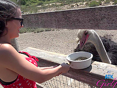 Foot fetish and handjob with Summer Renee