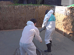 Bisexual threesome with Dionne, Martezz Carlos, and Tonny Rawx enjoying some intense action